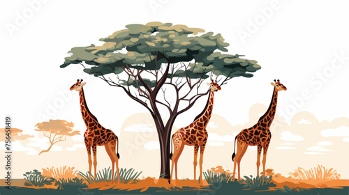 A trio of giraffes stretching their necks high 