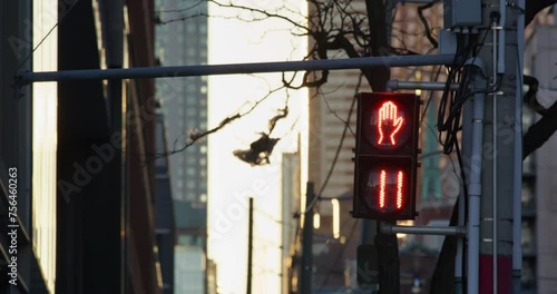 Wallpaper Mural City Pedestrian Crosswalk Street Sign Counting Down Walk and Stop to Cross Busy Intersection Torontodigital.ca