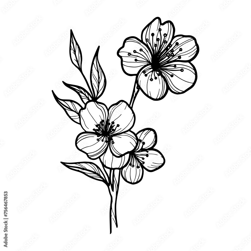 Obraz premium Line art vector illustration of sakura flower on white background