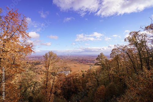 autumn landscape in the palatines