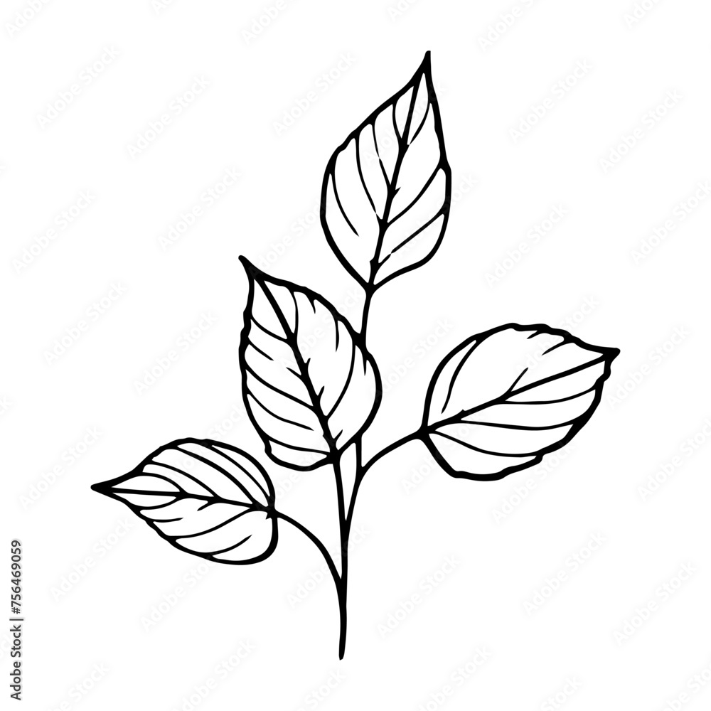 black and white leaves black and white leaves