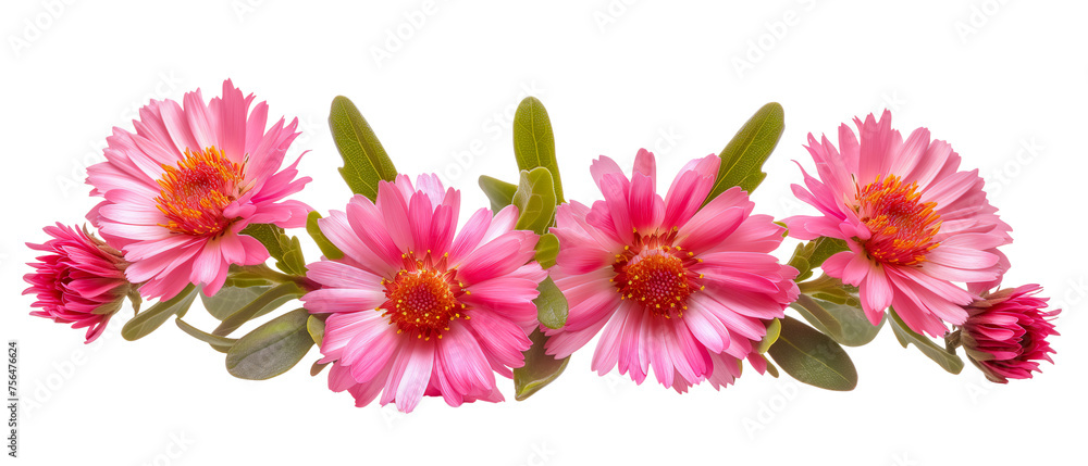 Row of pink flowers with green leaves, Cut out Row of pink flowers with green leaves, Cut out