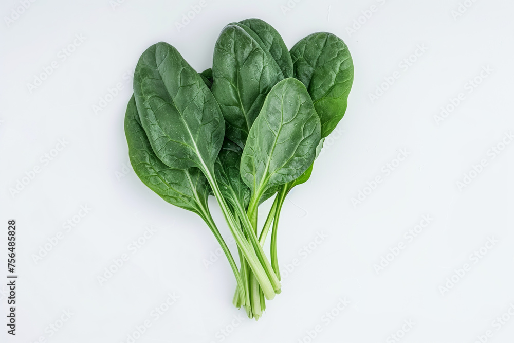 Top view of a bunch of fresh spinach leaves isolated on white background Top view of a bunch of fresh spinach leaves isolated on white background