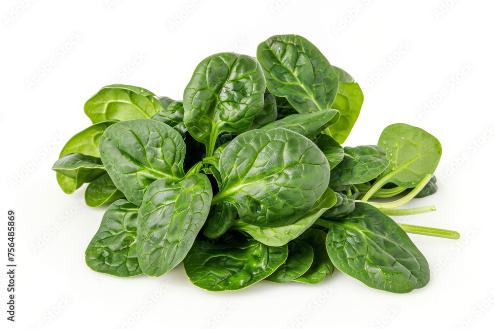 A bunch of fresh spinach leaves isolated on white background A bunch of fresh spinach leaves isolated on white background