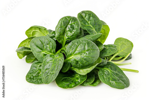 A bunch of fresh spinach leaves isolated on white background