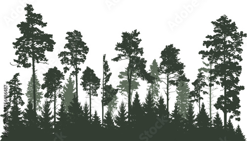 Beautiful landscape, silhouette of coniferous trees, forest. Vector illustration