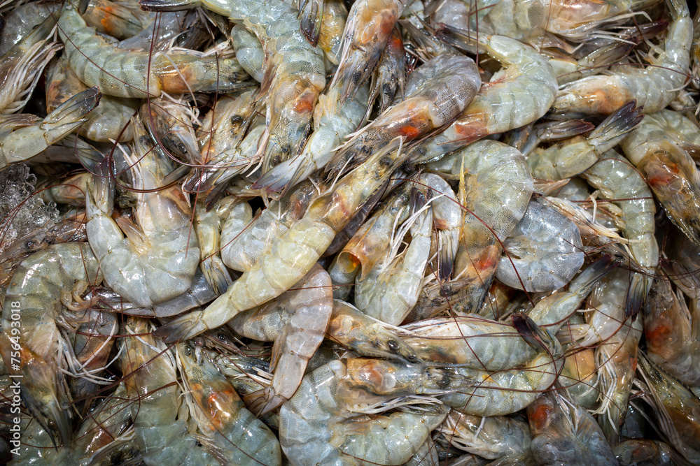 Udang, fresh shrimp, Littopenaeus vannamei, on the ice in the supermarket in Yogyakarta, Indonesia