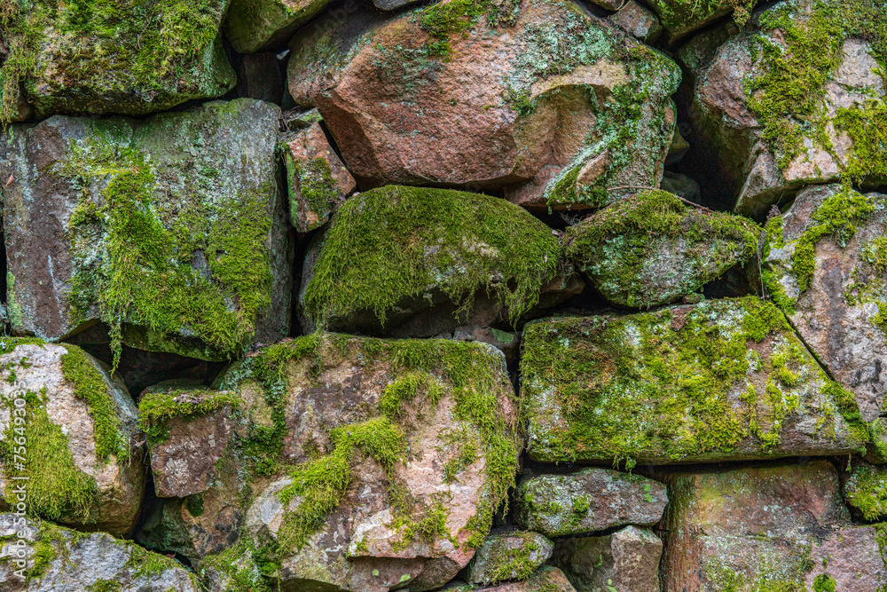 Background from an old rock wall covered with moss
