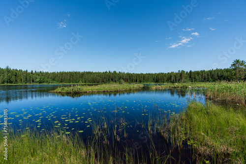 Beautiful summer view cross a small lake in the Swedish countryside