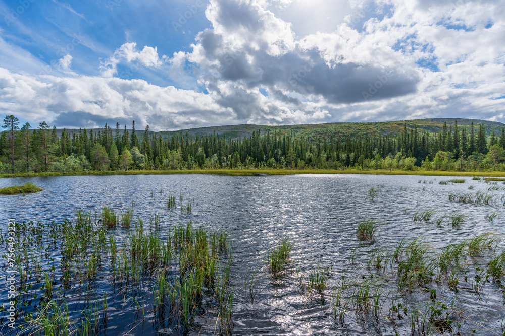 Summer view across a small lake in the Swedish highlands