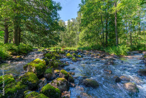 Scenic view of a creek with water flowing among moss covered rocks
