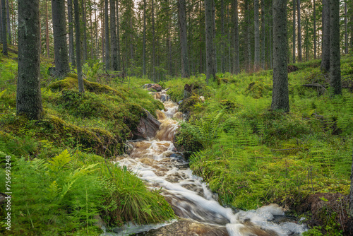 Small creek with flushing white water in a green forest in Sweden