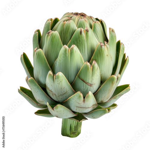 Fresh Artichoke, Isolated on White Background: Healthy Vegetable with Purple Leaves for Cooking and Eating