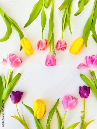 Bright multi-colored tulips on a white background