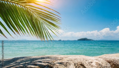 palm sunday background with green tropical tree leaves on stone