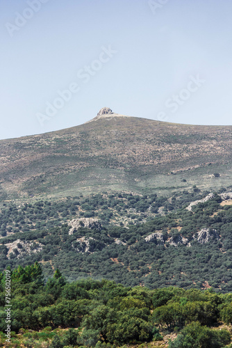 view from the top of the hill