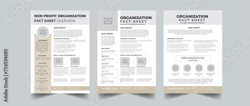 Nonprofit Organization Fact Sheet Template Layout