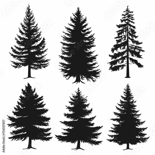 Evergreen Silhouette Collection