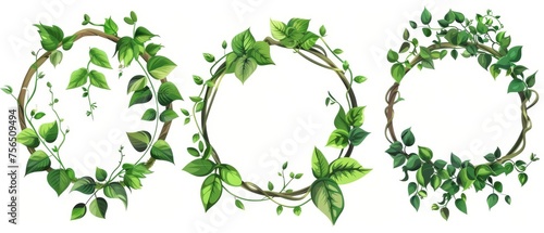 An animation of rainforest plant branches with tropical greenery forms a border made of jungle liana creeping vines.