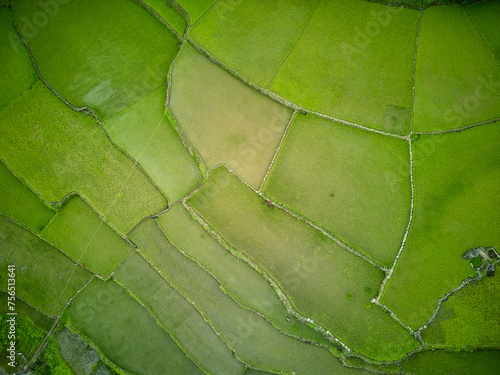 vistas panorámicas de terrazas de arroz en Ducligan, Filipinas photo