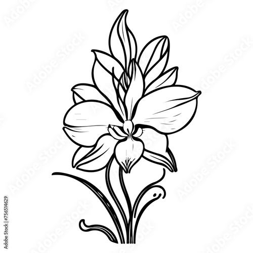 Fototapeta Naklejka Na Ścianę i Meble -  outline doodle orchid flower leaf illustration sketch black