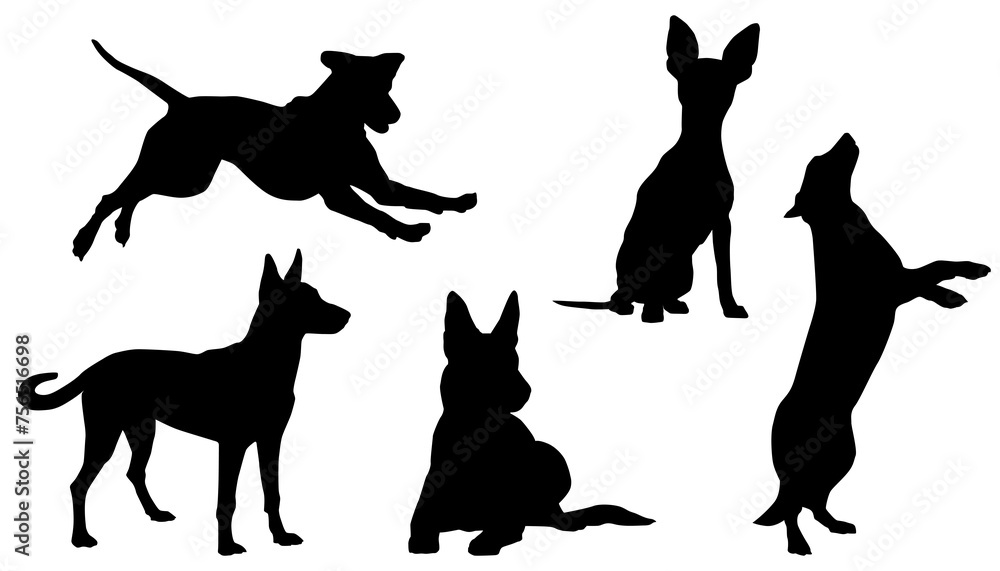 Set of Dogs Silhouettes, Collection, Isolated, Black, Pose, Isolated, Jump, Stand, Run, Sit, Animal, Pet