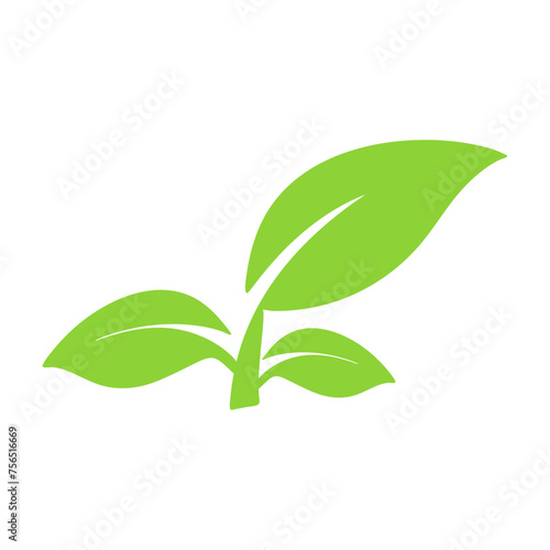 green leaves illustration 