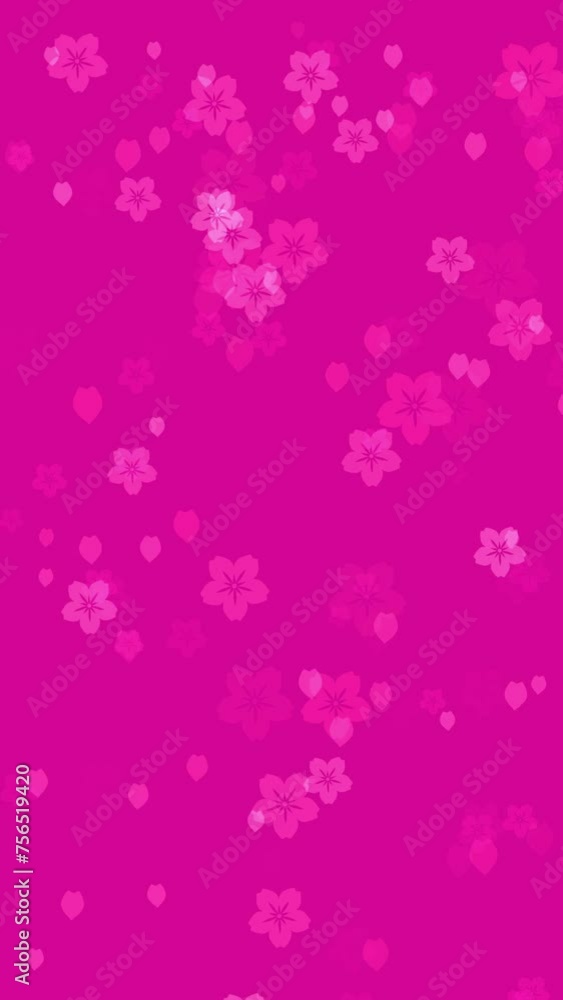 Abstract floral vertical motion background with animated pink sakura flowers and cherry blossom petals falling on vivid fuchsia backdrop. Simple video animation for oriental or springtime design. Abstract floral vertical motion background with animated pink sakura flowers and cherry blossom petals falling on vivid fuchsia backdrop. Simple video animation for oriental or springtime design.