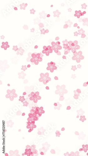 Abstract floral vertical motion background with animated pink sakura flowers and cherry blossom petals falling on white backdrop. Elegant tender video animation for japanese or springtime design.