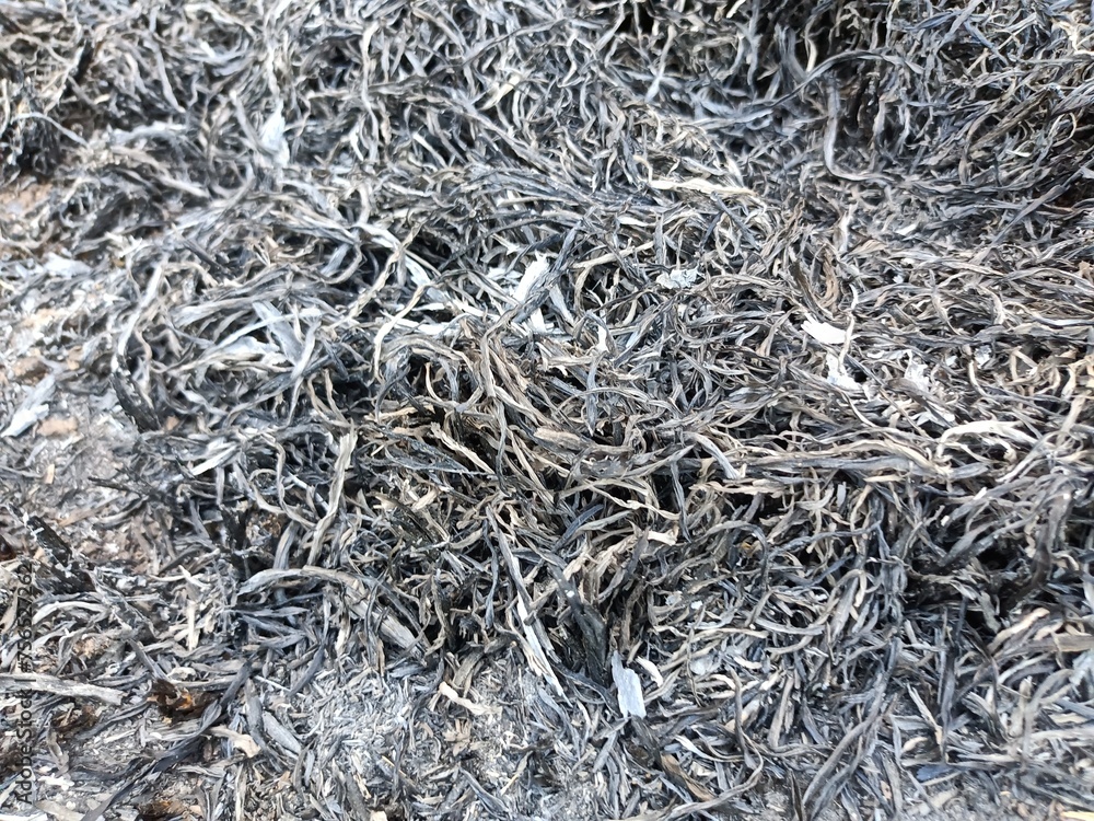 Ash from burning organic matter is a good alkaline fertilizer. Ash has been used for agriculture since ancient times. Ash from burning organic matter is a good alkaline fertilizer. Ash has been used for agriculture since ancient times.