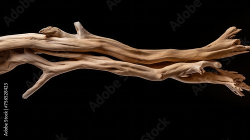 Driftwood, Old wood on a black background.