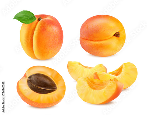 Realistic ripe raw apricot fruit, isolated whole, half and slice cut, vector food. Fresh apricot fruit cut in section or whole with leaf and seed for juice or jam and organic food product package