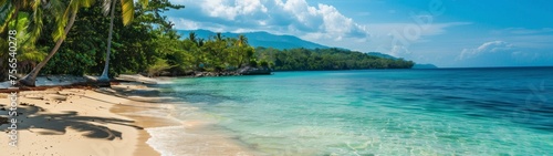 Beautiful beach with palm trees in summer 32 9 panoramic in high resolution and high quality. beach concept