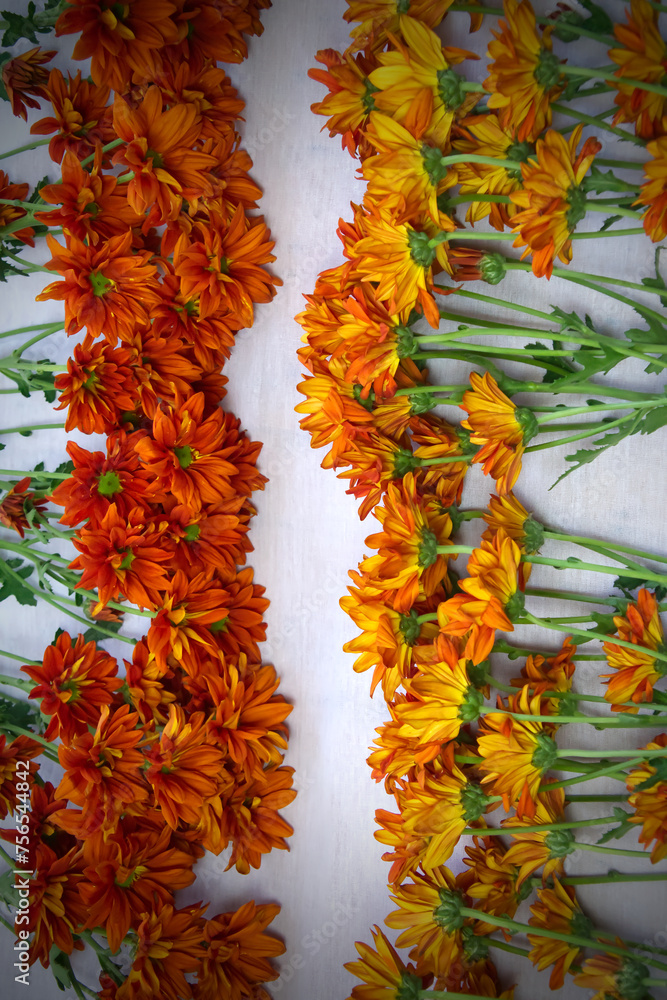 Beautiful flowers on fabric background