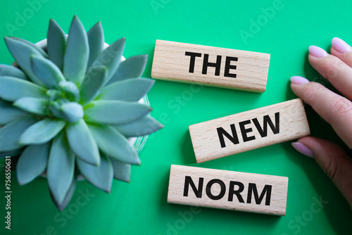 The new norm symbol. Concept words The new norm on wooden blocks. Beautiful green background with succulent plant. Businessman hand. Business and The new norm concept. Copy space.