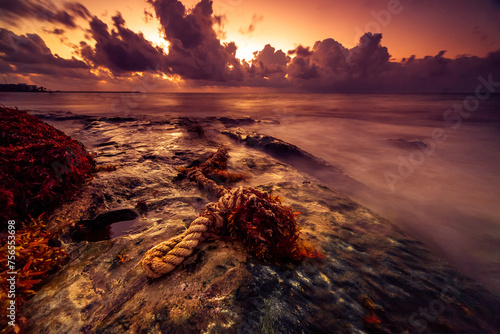 Washed up piece of rope on beach at sunrise, Playa del Carmen, Quintana Roo, Mexico photo