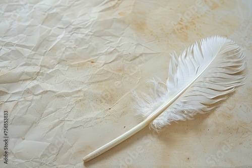An elegant feather quill pen lying on a clean ivory surface