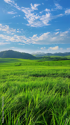 Lush green field under a blue sky with scattered clouds, surrounded by rolling hills