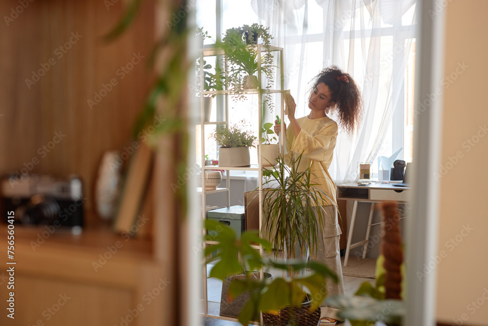 Mirror reflection of young woman cleaning shelves with live green plants in cozy home copy space