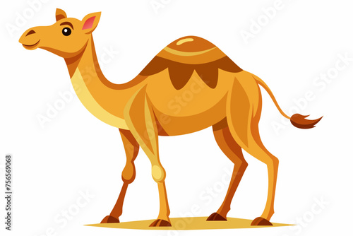 Camel vector illustration  © Chayon Sarker