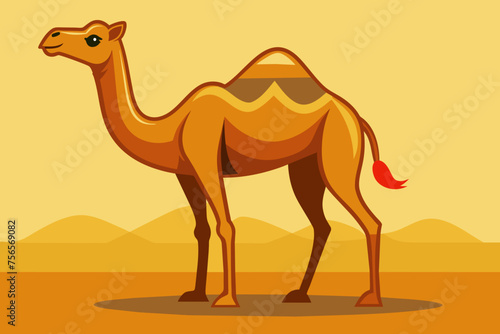 camel in desert vector 