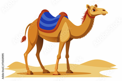 camel in desert vector 