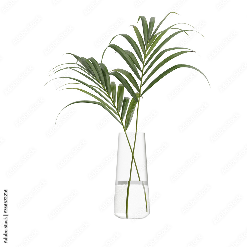 Potted plants isolated on white background Potted plants isolated on white background