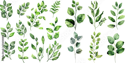 Watercolor elements green leaves branches set