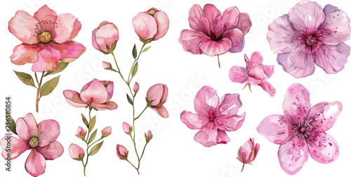 Watercolor pink flowers set