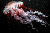 Meeresphantasie: Der Tanz der Qualle, wo Schönheit und Gefahr zusammenkommen 5