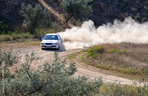 Rally Car in a Turn and a Cloud of Dust 19 © goodman_ekim