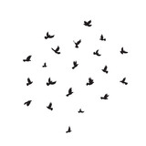 Silhouette of a flock of pigeons on a white background