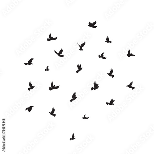 Silhouette of a flock of pigeons on a white background © Pixzot