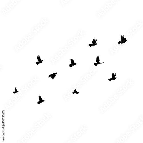 Flock of birds flying isolated on white